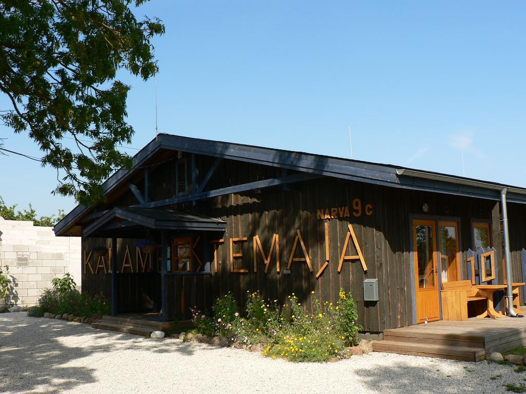 Hostel Kalameeste Maja Муствеэ Экстерьер фото