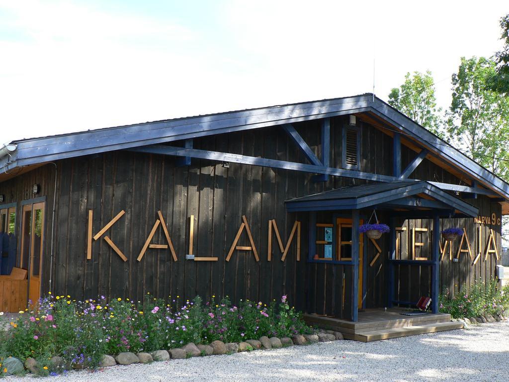 Hostel Kalameeste Maja Муствеэ Экстерьер фото