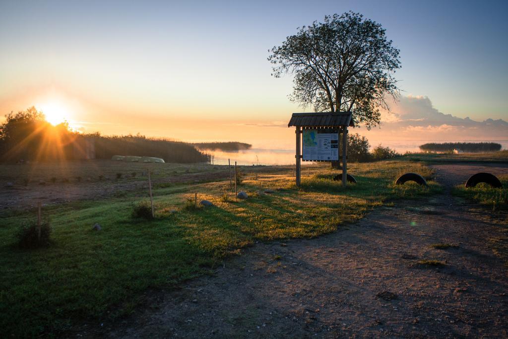 Hostel Kalameeste Maja Муствеэ Экстерьер фото