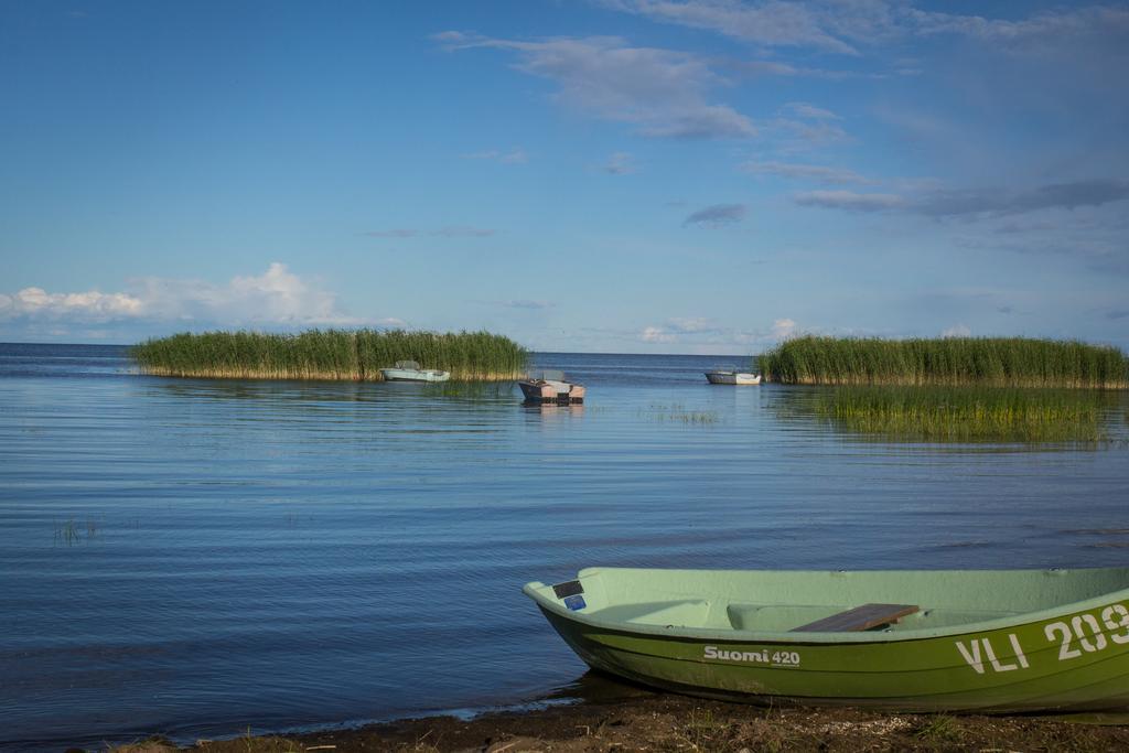 Hostel Kalameeste Maja Муствеэ Экстерьер фото