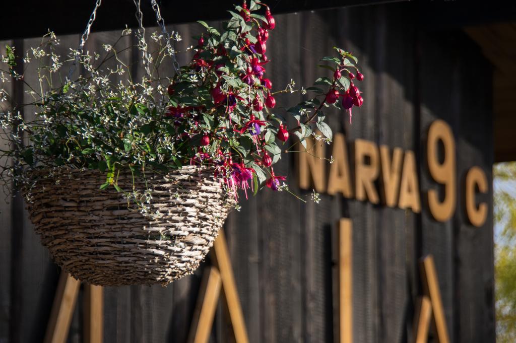 Hostel Kalameeste Maja Муствеэ Экстерьер фото