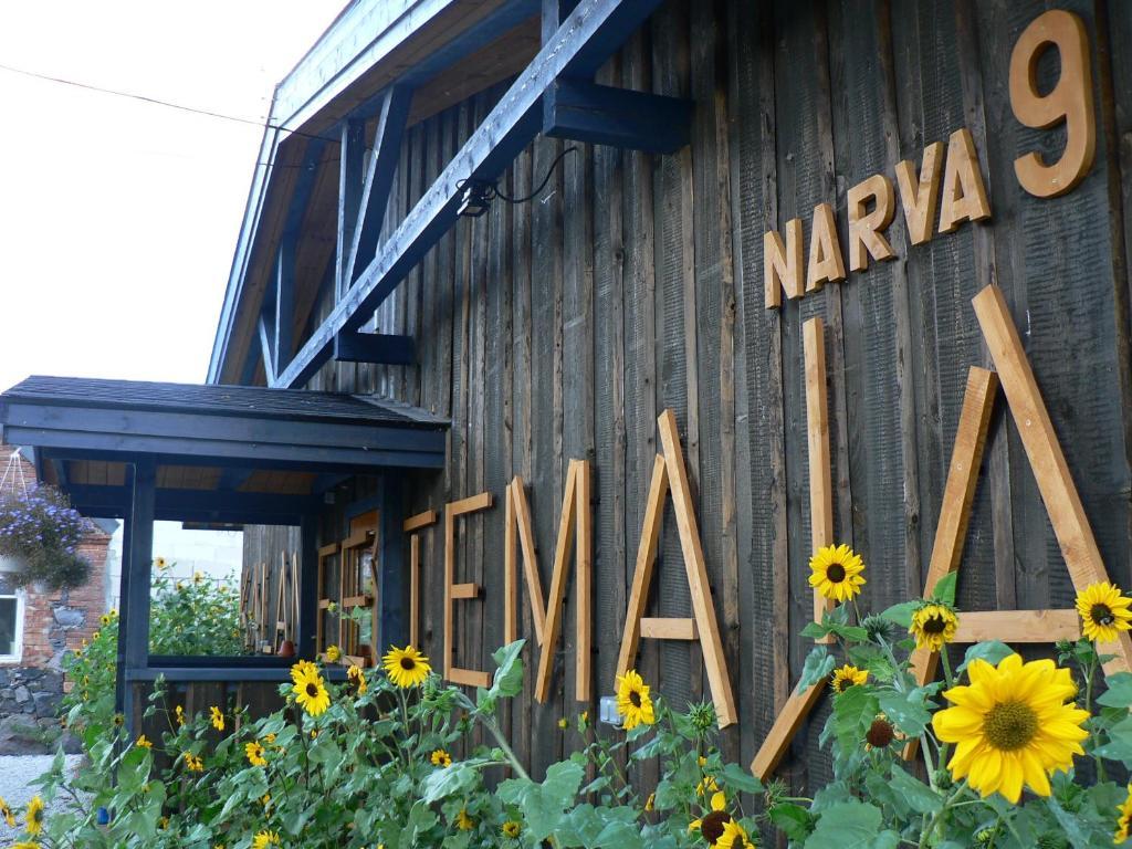 Hostel Kalameeste Maja Муствеэ Экстерьер фото